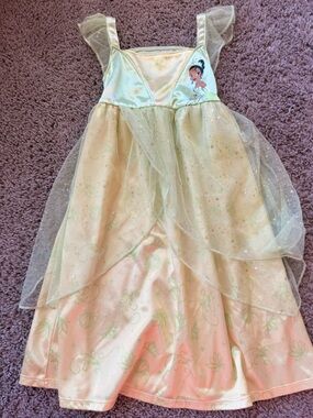 Disney Princess Pale Green Sparkle Costume Dress